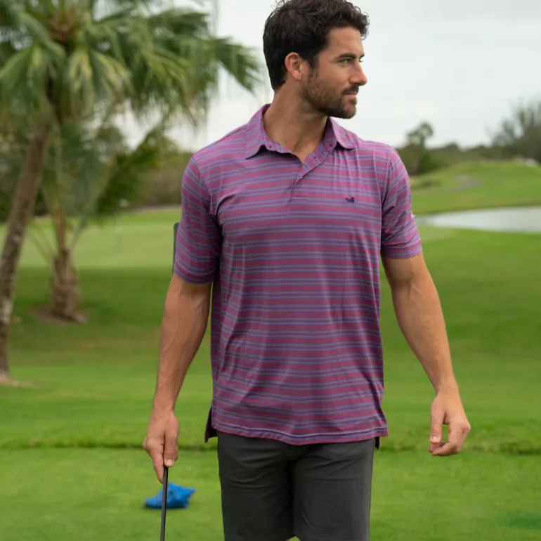 Bermuda Performance Polo - Naples Stripe