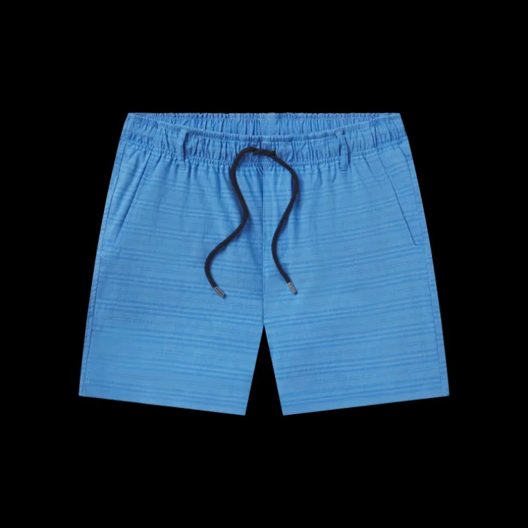 Calabasas Stretch Swim Trunk