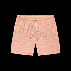 Dockside Swim Trunk - Falling Lines