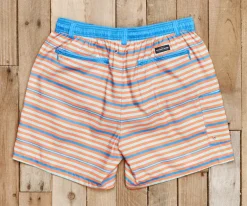 Dockside Swim Trunk - Stripes