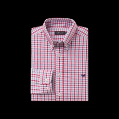Evans Gingham Dress Shirt