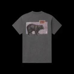 Expedition Series Tee - Black Bear
