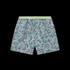 Hanover Flamingos Boxer