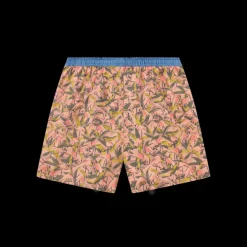 Hanover Flamingos Boxer