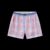 Hanover Gingham Boxer