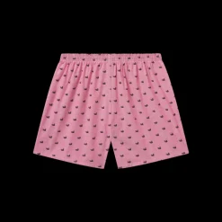 Hanover Oxford Boxer