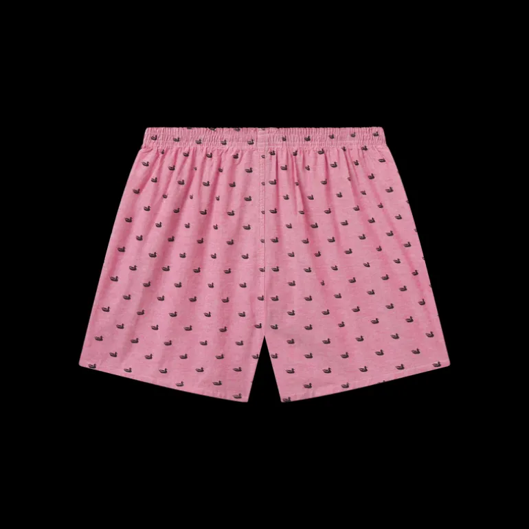 Hanover Oxford Boxer