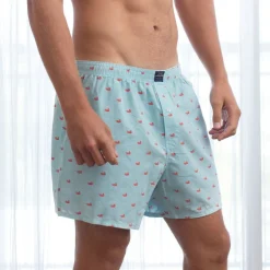 Hanover Oxford Boxer