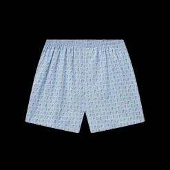 Hanover Pastimes Boxer