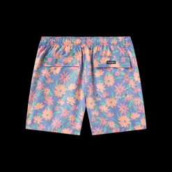 Harbor Lined Trunk - Pushing Daisies