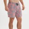 Harbor Stretch Lined Seawash™ Trunk - Elephant