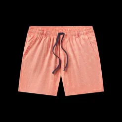 Harbor Stretch Lined Seawash™ Trunk - Starfish