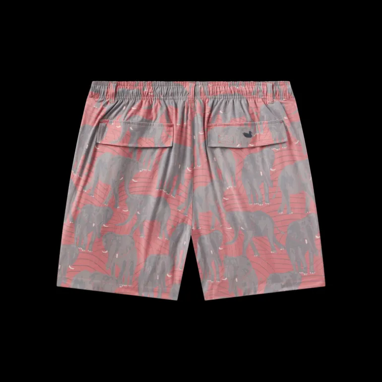 Harbor Stretch Lined Seawash™ Trunk - Elephant