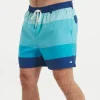 Harbor Trunk - Horizon Stripe
