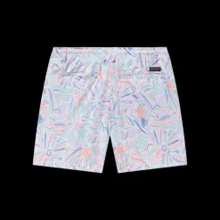 Jubilee Lined Trunk