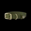 Mason Waterproof Dog Collar