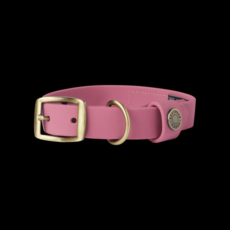 Mason Waterproof Dog Collar