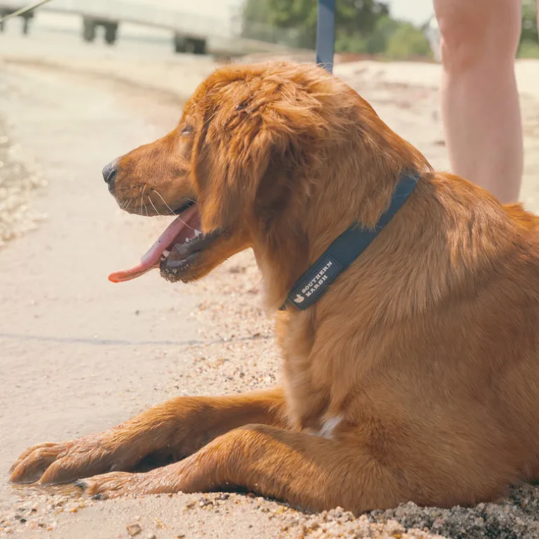 Mason Waterproof Dog Collar