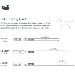 Mason Waterproof Dog Collar