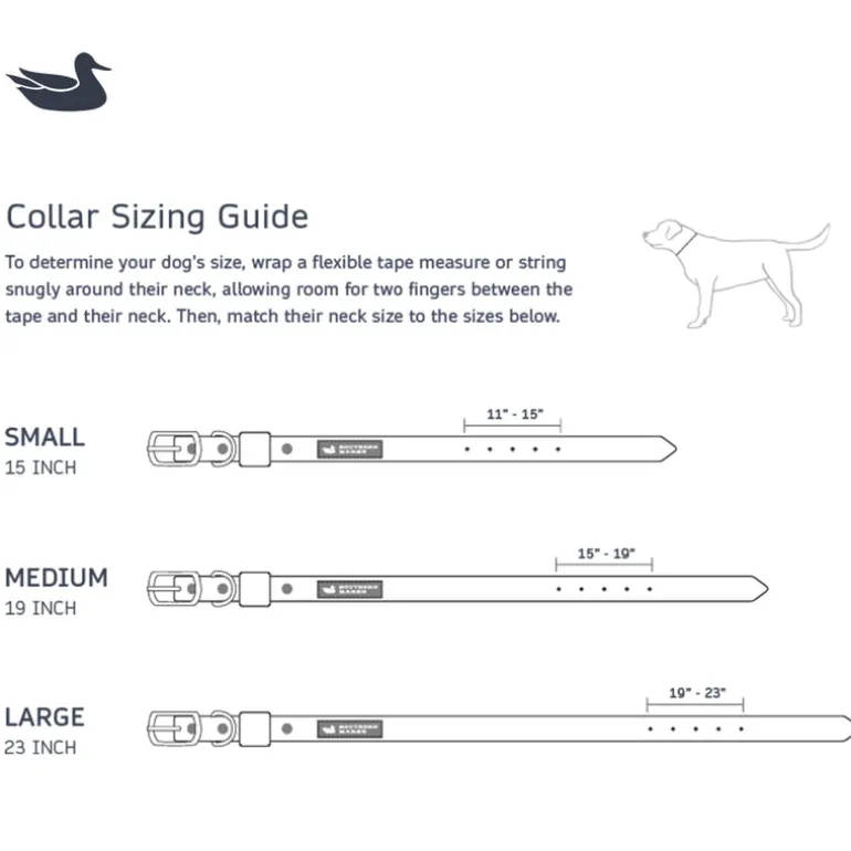 Mason Waterproof Dog Collar