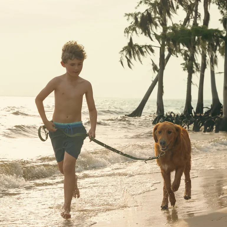 Mason Waterproof Dog Leash
