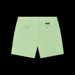 Regatta Short - 6in. Pleated - Vibrant