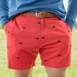 Regatta Short with Printed Ducks - 6in. Flat