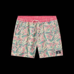 SEAWASH™ Shoals Swim Trunk - Bayside