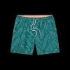Youth Dockside Swim Trunk - Palmdale Playa