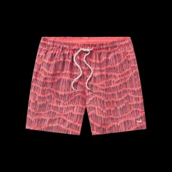 Youth Dockside Swim Trunk - Falling Lines