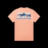 Youth Fishing Lines Tee - Brook Trout