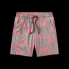 Youth Harbor Stretch Lined Seawash™ Trunk - Elephant