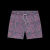 Youth Harbor Stretch Trunk - Coral Fades